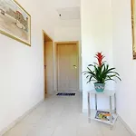 Apartman Skocic *