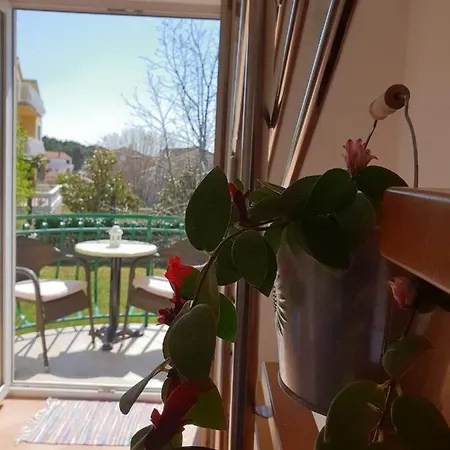 Skocic Apartment Vodice