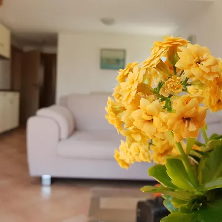 Apartament Skocic
