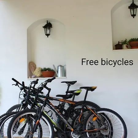 Skocic Appartamento Vodice